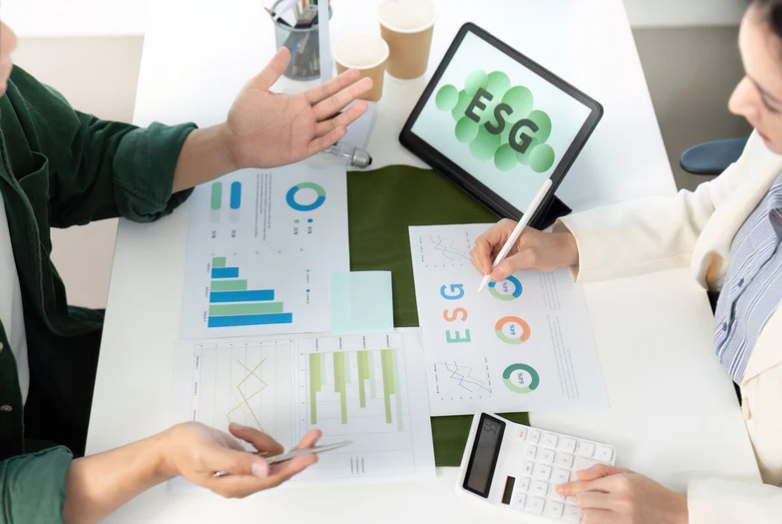 ESG 顧問服務｜SEO 優化＋Google Ads＋網站整合的企業成長策略