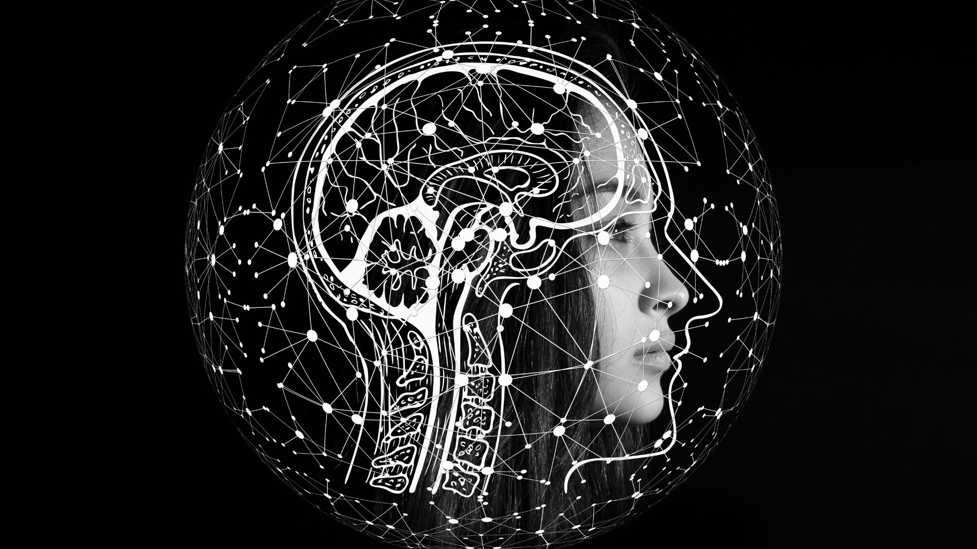 不懂技術也能懂:AI 到底是怎麼決定要推薦哪家公司的?